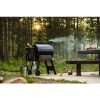 Traeger® Pro Series 22 Pellet Grill