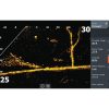 Lowrance® ActiveTarget® 2 Live Sonar